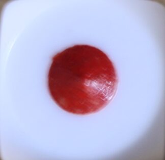 PARTS ONLY -White/Red/Blue Board Game Die