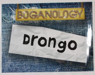 PARTS ONLY -Boganology Board Game Parts - (26) "Drongo" Cards Only