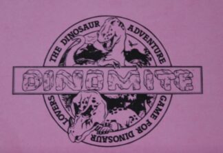 PARTS ONLY - Dinomite Board Game - (36) Dino-Venture Cards Only