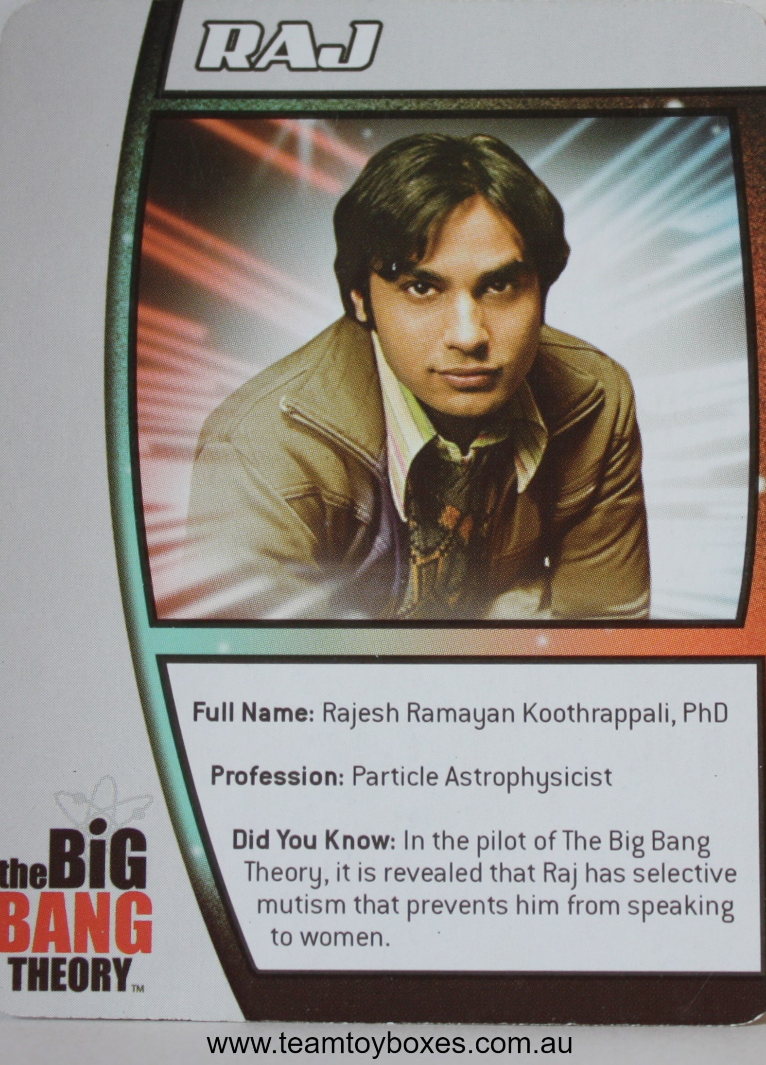 PARTS ONLY - The Big Bang Theory Fact or Fiction Trivia Board Game - (1) Raj Character Card Only