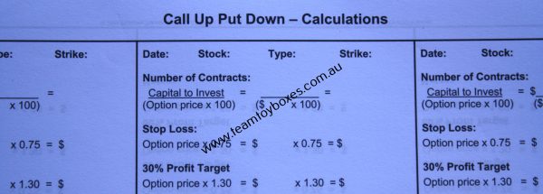 PARTS ONLY - Call Up Put Down Stockmarket Options Board Game - (1) Double Sided Calculations Page Only