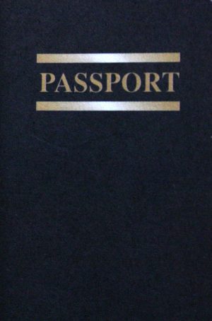 PARTS ONLY - Titanic The Board Game - (1) Baxter Buckworthy Passport Only