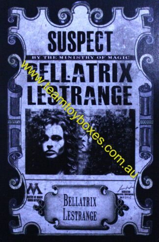 PARTS ONLY - Cluedo Harry Potter Board Game - (1) Bellatrix Lestrange Suspect Mystery Card Only