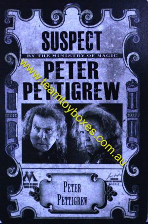 PARTS ONLY - Cluedo Harry Potter Board Game - (1) Peter Pettigrew Suspect Mystery Card Only