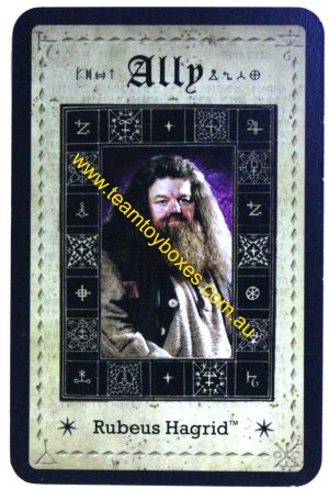 PARTS ONLY - Cluedo Harry Potter Board Game - (1) Rubeus Hagrid Ally Card Only